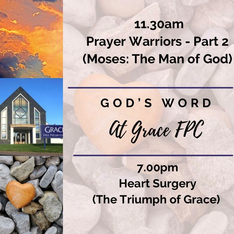 ArdsFPC's tweet photo. Prayer times will be before each meeting. As well as our #Sunday School and Bible class, the Lord’s Table will be after out morning meeting.
@ArdsFPC #gfpc #moses #newbeginnings #evidence #salvation #newtownards #countydown #church #heartsurgery https://t.co/7qrHxp4Lvh https://t.co/7qtXYkMr8Y