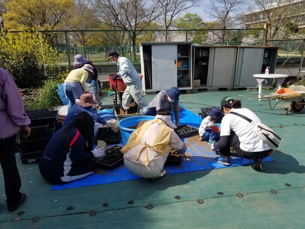 sakai_tech's tweet photo. 大仙フラワークラブの人たちと園芸部が公園の花のお世話
これから春に向けてきれいな花が咲きますように!!
#堺工科
#大仙フラワークラブ 
#園芸部 https://t.co/Ddc19GbLZV