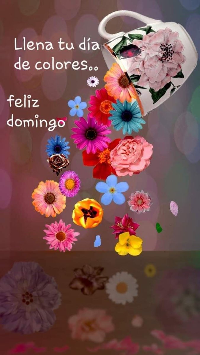 Buenos días☕🎶
Un fabuloso domingo🌹para tod@s💕
Besos🥰y abrazos🤗con cariño.
Sean felices!!🥳🎶💃
     Regalen😁sonrisas!!💕