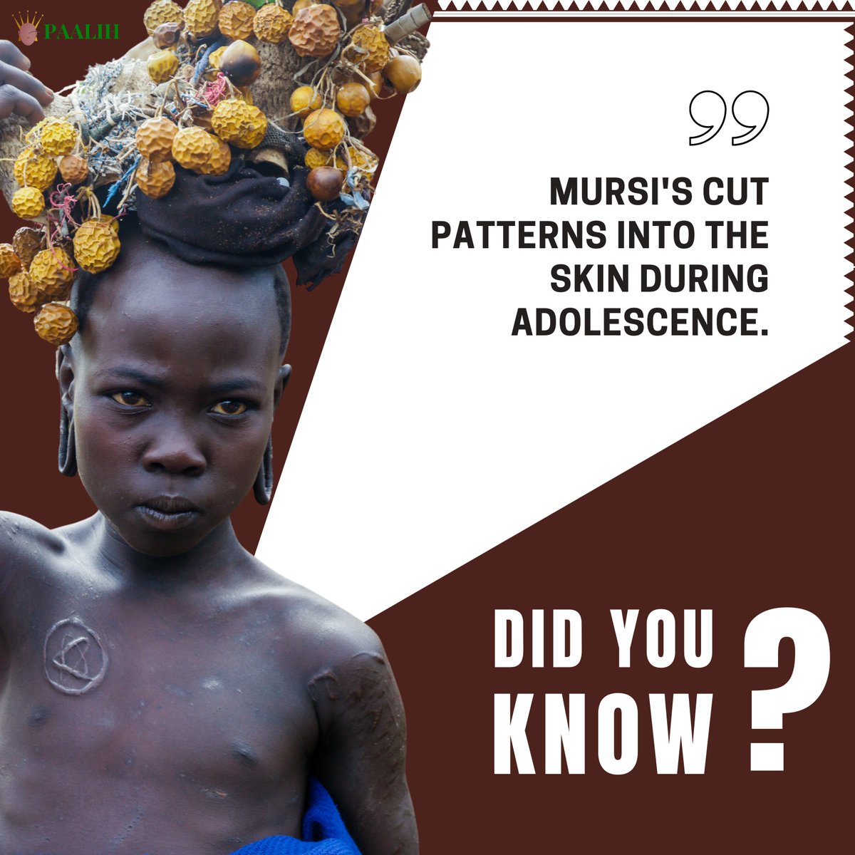 teampaalih's tweet photo. Discover the unique traditions of the Mursi tribe: lip plates and scarification. A fascinating but controversial celebration of adolescence. #MursiTribe #CulturalTraditions #Paalih https://t.co/o17oKazu4N