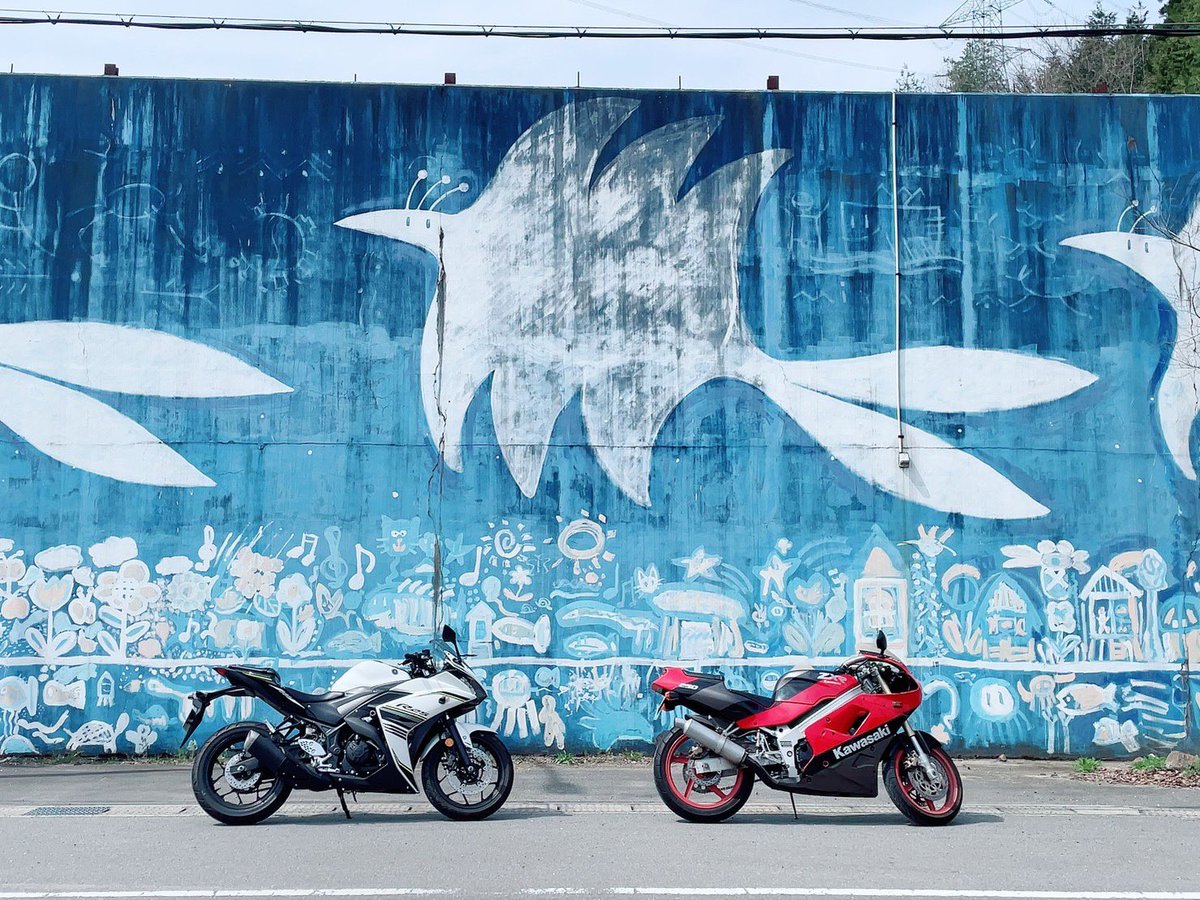 yamachu_ZXR250's tweet photo. 生存確認！！まだまだ元気です🙋‍♂️

美山で『青い壁』探してた大阪ナンバー赤のCT125乗ってるお姉さん大野ダムから少し美山方面に走ったところにありましたよ！！
#青い壁　#お花見 https://t.co/pUWWeA5VMy