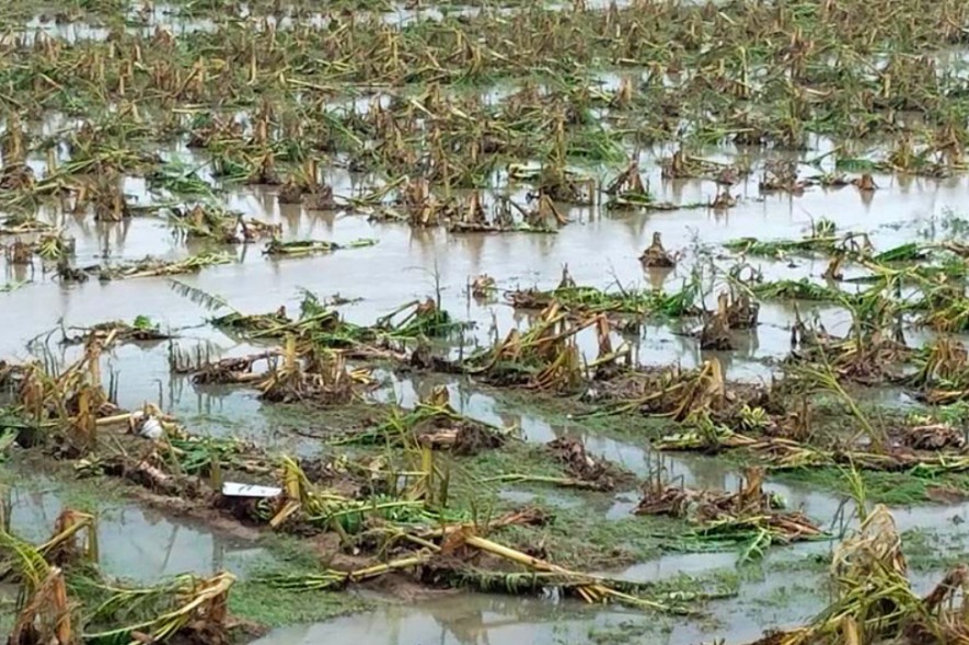 desijaat0517's tweet photo. "The recent heavy rain in Haryana has caused extensive damage to crops and left farmers struggling. It's time for the government to focus on long-term strategies to support our agriculture sector. #WeatherAgricultureFarmers #LongTermStrategies" https://t.co/4RA2Fc4Ght