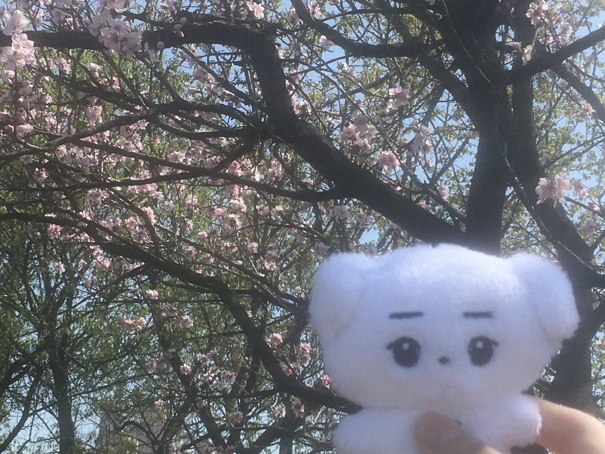 지수 tweet media