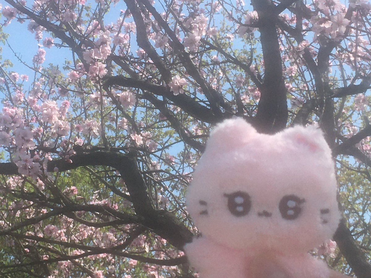 지수 tweet media