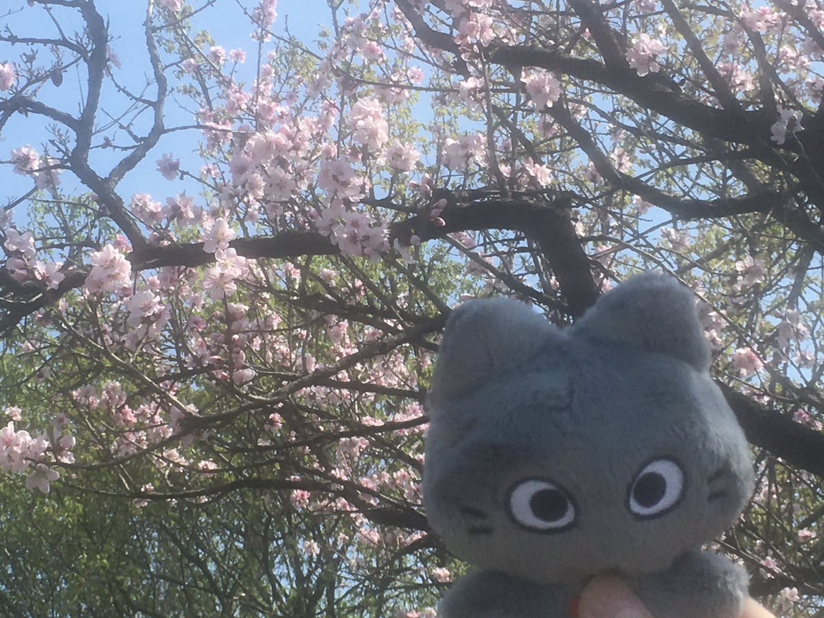 지수 tweet media