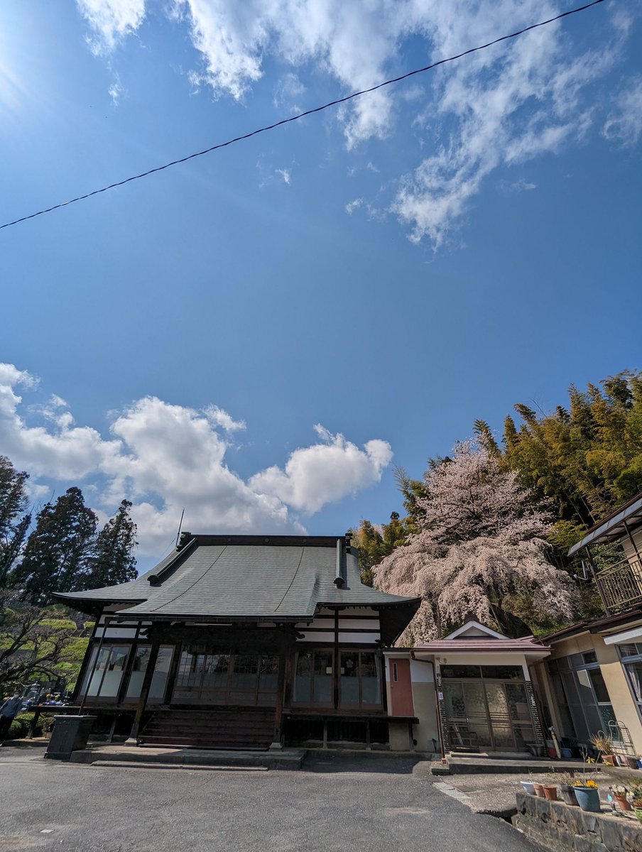 続きまして鏡石寺の桜🌸

#福島 #二本松 #二本松の桜