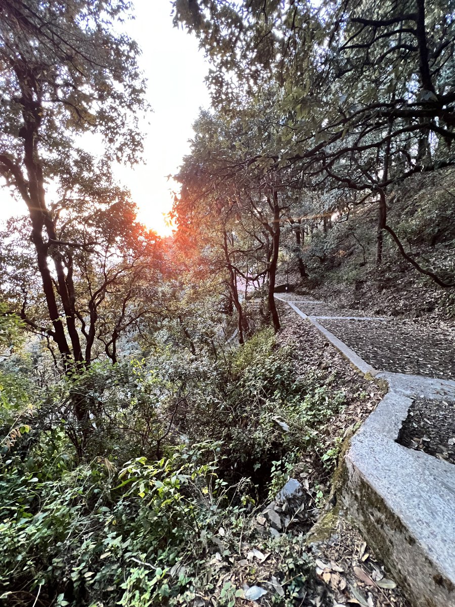 sudhirchaudhary's tweet image. Clicked this breathtaking winter skyline at sunset somewhere in Uttarakhand! The orange hues are painting the sky in a surreal way ❄️🌅 #WinterSunset #Uttarakhand #NaturePhotography
