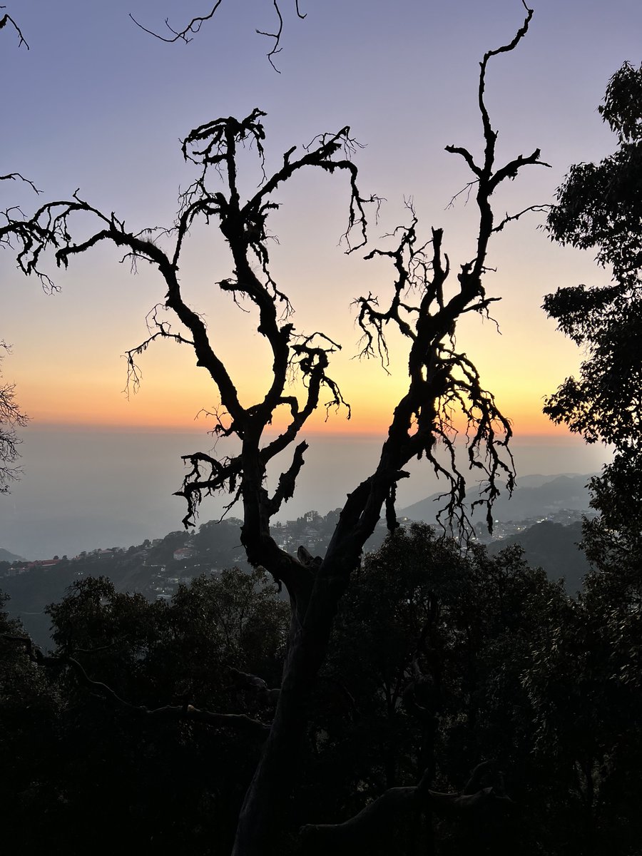 sudhirchaudhary's tweet image. Clicked this breathtaking winter skyline at sunset somewhere in Uttarakhand! The orange hues are painting the sky in a surreal way ❄️🌅 #WinterSunset #Uttarakhand #NaturePhotography