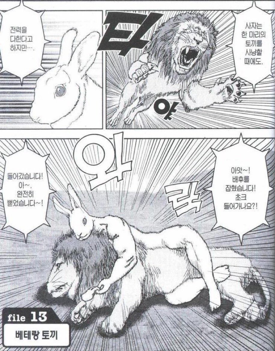 루피vs악당이 다 이런식으로 느껴짐