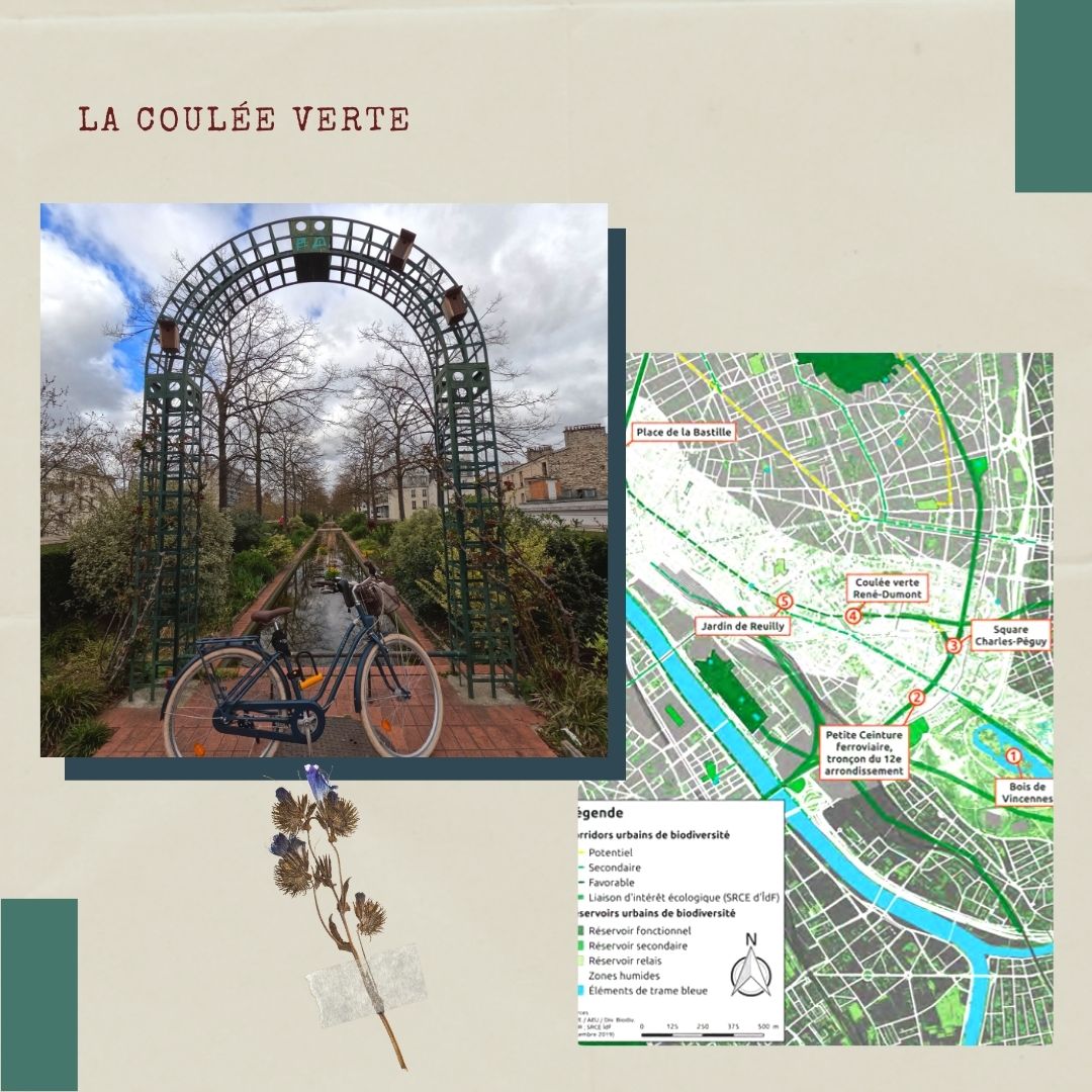 timonetpumbike's tweet photo. 7ème parcours de l'Atlas de la nature à Paris : le long du Bois de Vincennes et de la coulée verte 🚴‍♀️🚴🌱
.
.
.
#atlasdelanature #igersparis #parisavelo #parismaville #pariscity #velotourisme #veloaparis #bikelife #citybiker #veloaventure #villedeparis #quefaireaparis #francefr https://t.co/nWxBKgTiIt
