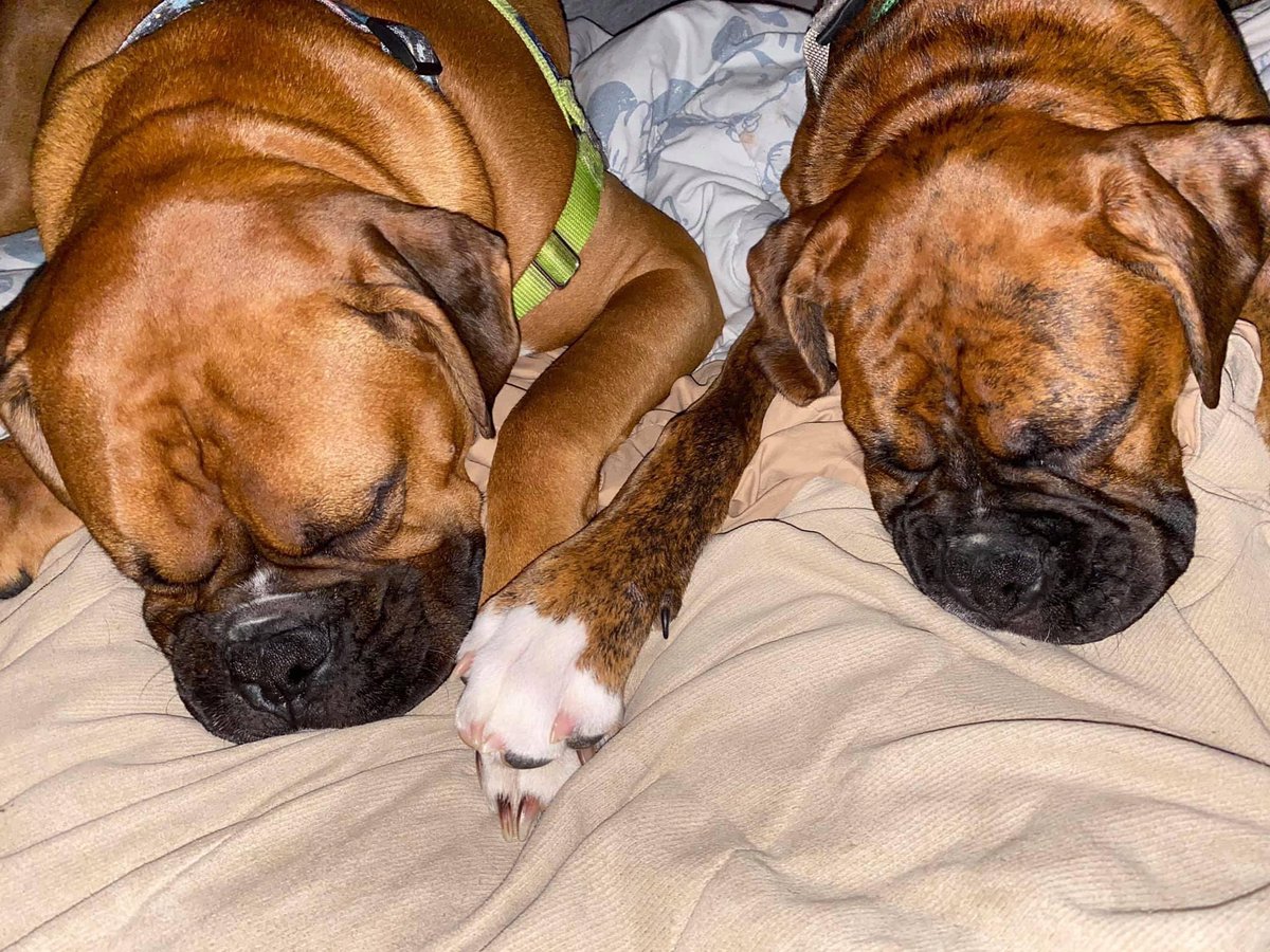 Donna Zufolo-Otto tweet media