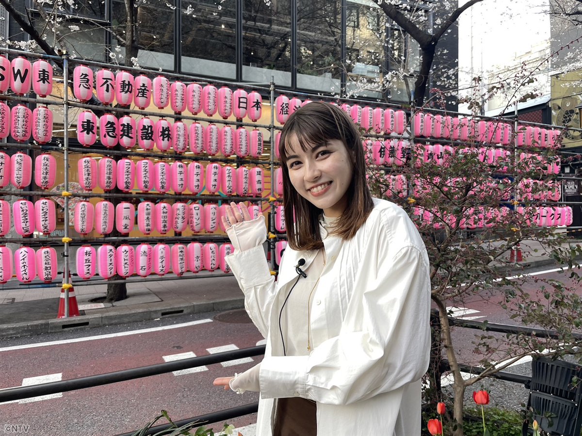 🌸外国人新お花見スポット🌸 全国で桜満開の今、外国人観光客に人気の