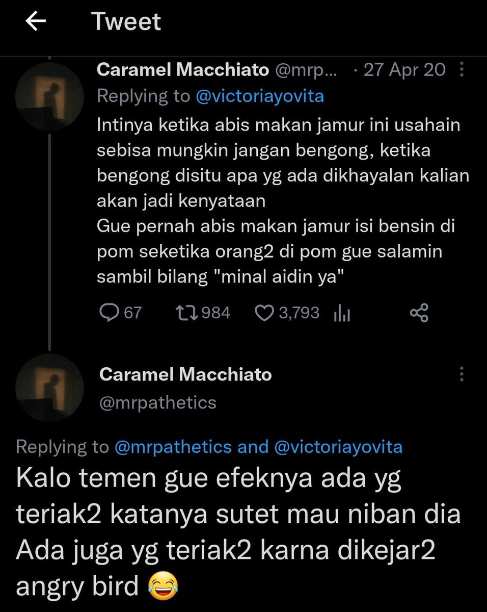 martabakismissu's tweet photo. EFEK DI LUAR NALAR SETELAH MAKAN KECUBUNG &amp; MEJIK MUSHROOM

A thread https://t.co/mPWAuGe4gl