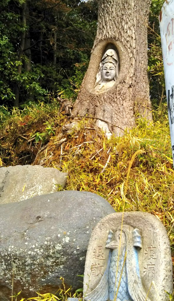 anannda21's tweet photo. 柔かな微笑みが素晴らしくて、暖かい気持��になりました。令和観音 石彫刻師の方が、自宅🏡の椚の木に彫った観音菩薩様。アマビエさんとツーショットも😌 https://t.co/hH8shMSsMS