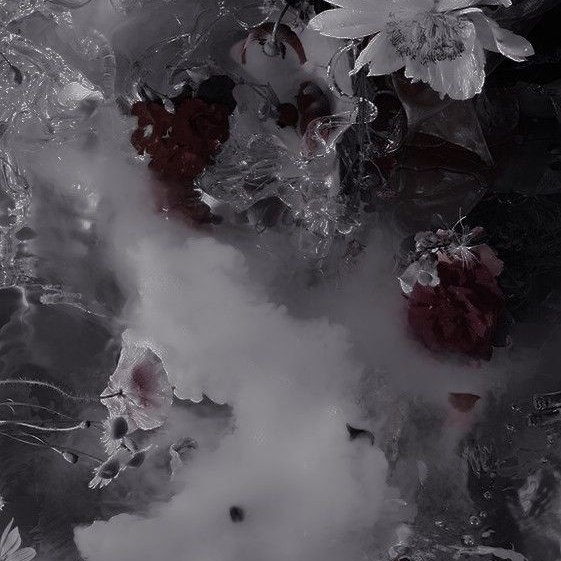 heearcane's tweet photo. ‘Edelweiss

A 🔞 #Sunwon mini au wherein obsession is a devotion, a silent prayer, prayed not to God. https://t.co/SouywJK55X
