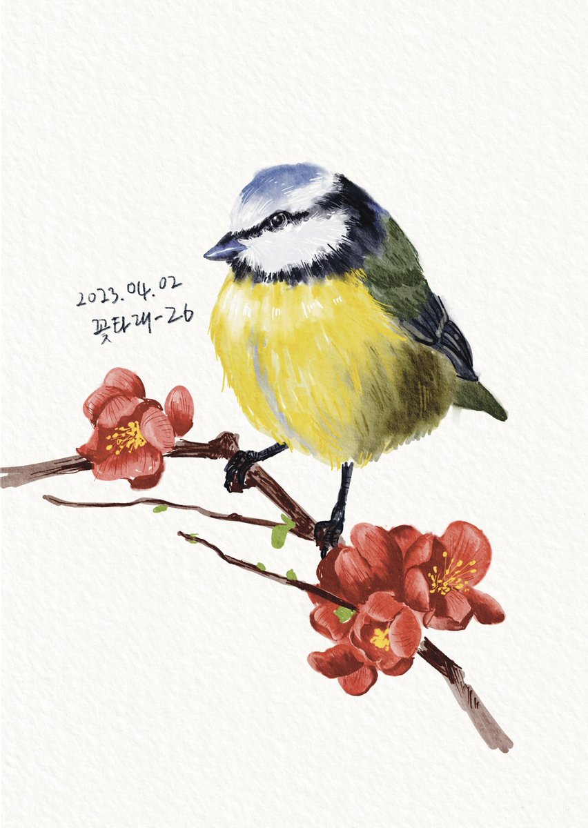 kotale_'s tweet photo. 매일 그리기-26
푸른 박새.
명자나무꽃.
_
#꽃타래 #푸른박새 #명자나무꽃 #매일그리기 #새그림 #floweryknots #dailypainting #drawingbird https://t.co/EdXcnzbAtb
