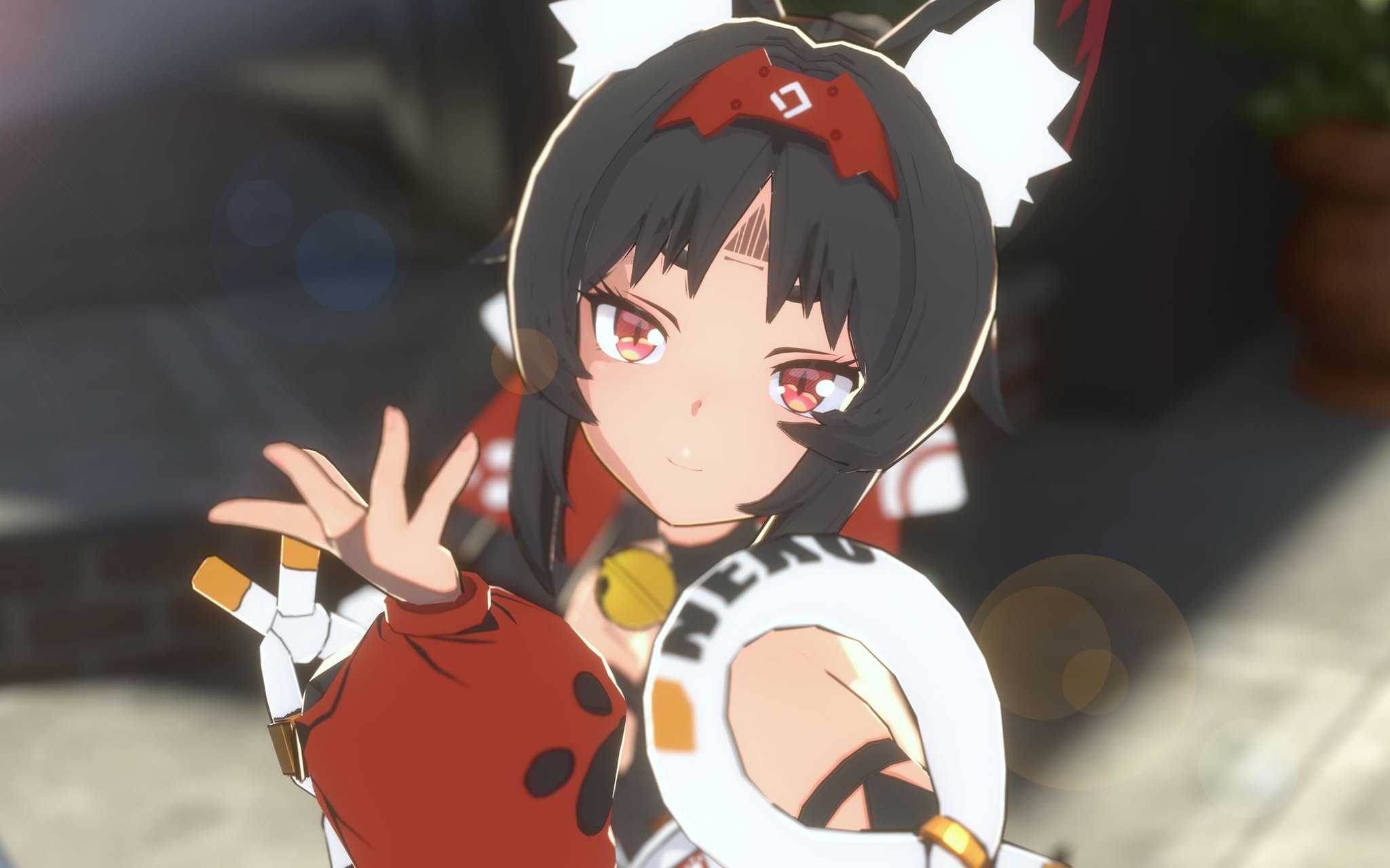 魔法のTANSA409ベリーPS-B1ぞうねこちゃんねる Guerrilla Live] 40,000 subscribers commemorative LIVE