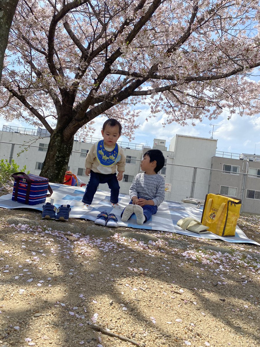 16blackcat's tweet photo. 花見は良いねぇ🥰 https://t.co/Xh5Qaj68bG