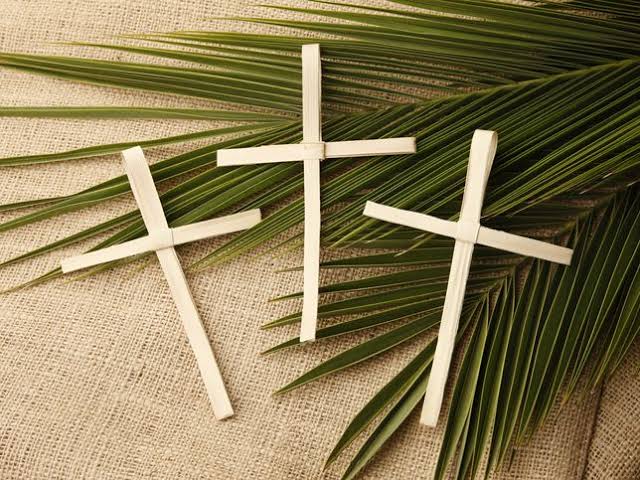 On this Palm Sunday let us thank Jesus Christ for everything that he has done for us. 
A blessed Palm Sunday to everyone 🙏