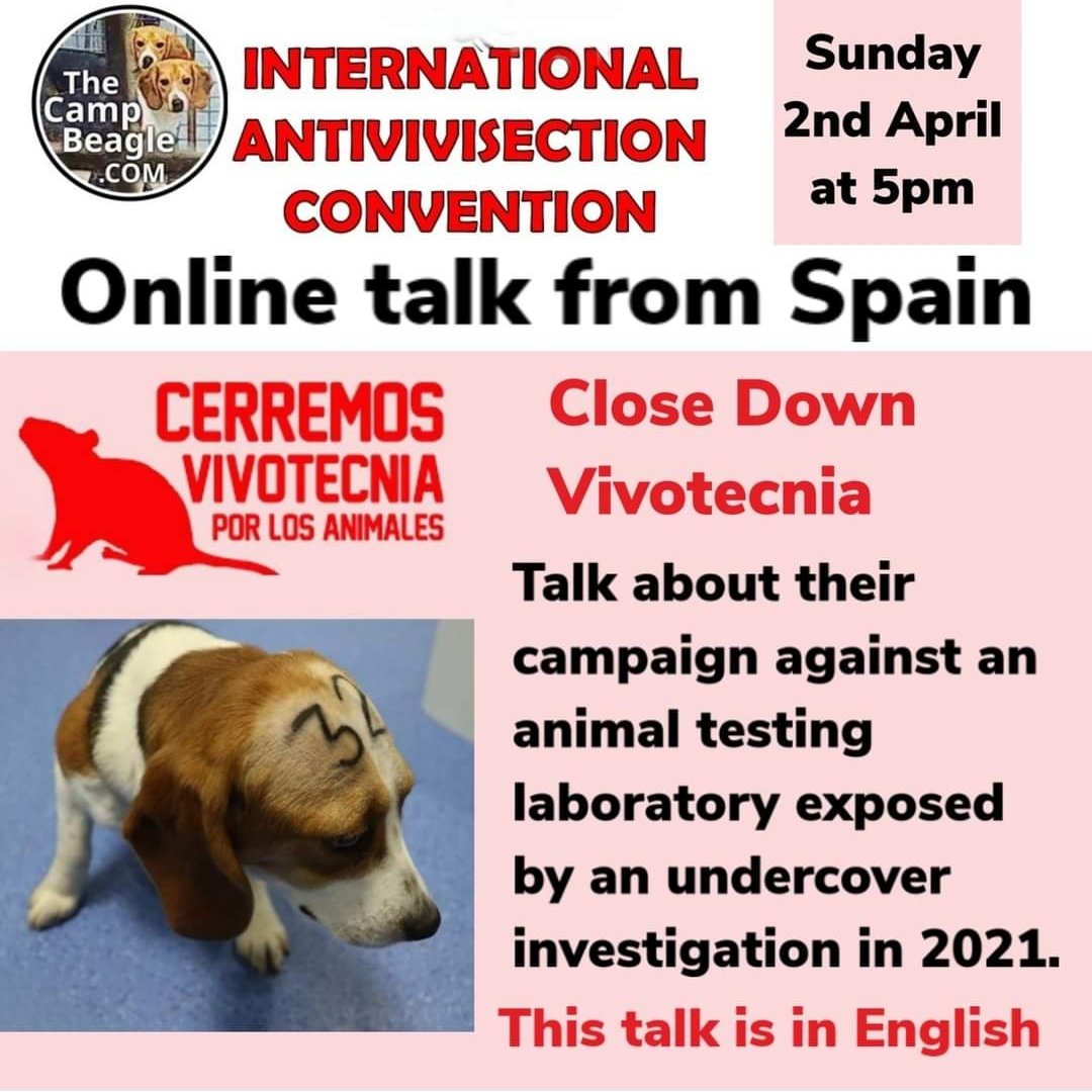 JOIN TODAY at 5pm via ZOOM to hear about the campaign that is taking place in Spain to close down Vivotecnia Laboratory. undercover investigation, to national marches, upcoming court case against laboratory's workers & managers for animal mistreatment us02web.zoom.us/j/81973053499?…