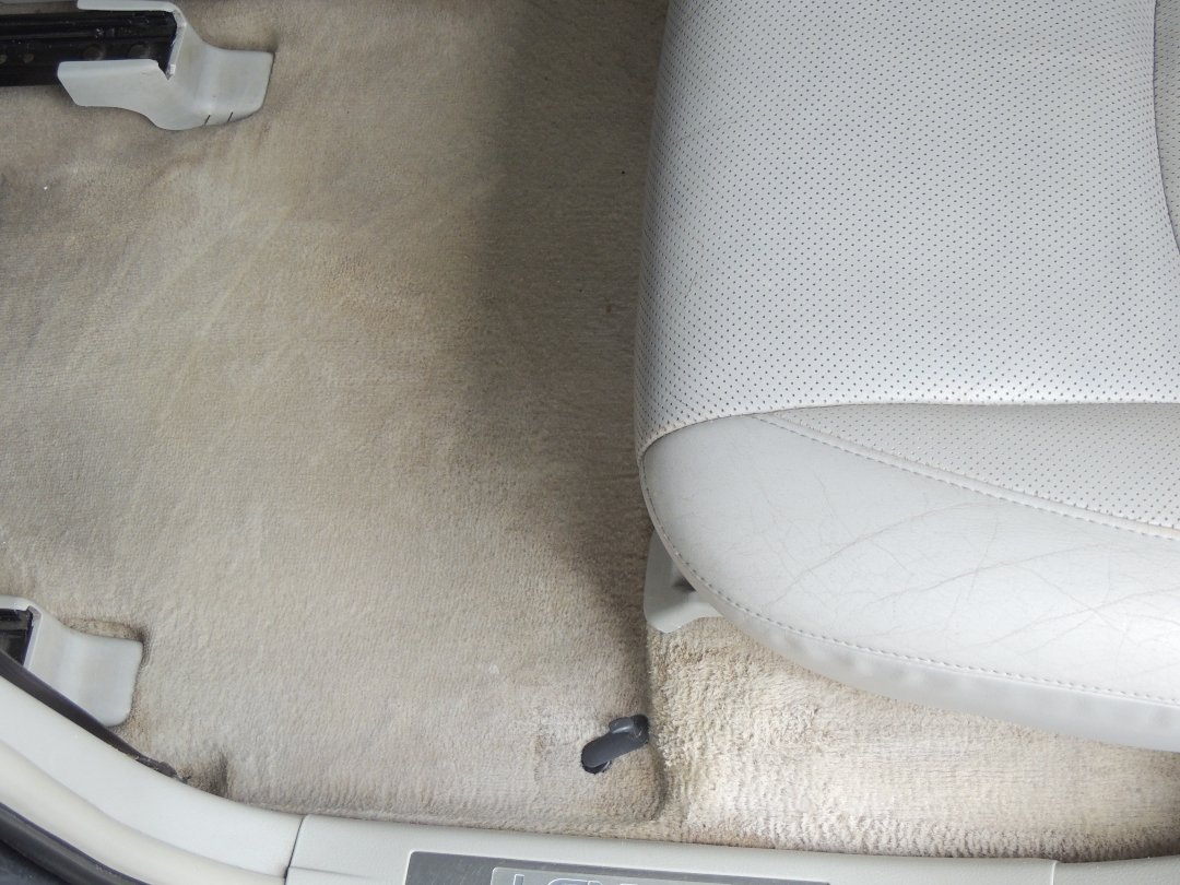 DuckmanAuto's tweet photo. Book your service via our website π https://t.co/FmNQ5ds8qX
DM βοΈ us for more information
π Contact us Directly 0702982035
#interiorsteamcleaning
#steamcleaninginterior
#steamdetailing
#interiorsteamdetailing
#carcare
#detailinglife
#steamclean https://t.co/sWRredps9V