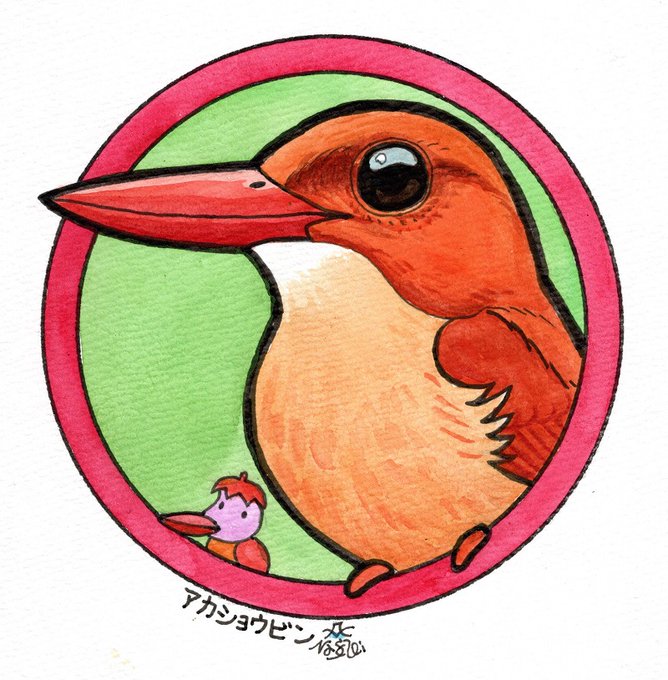 「缶バッジの鳥たち」またまたリクエストの鳥、アカショウビンです。 