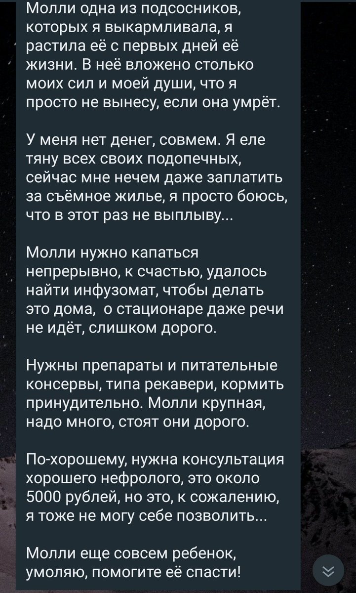 ❗️МОЛЛИ УМИРАЕТ.СРОЧНЫЙ СБОР, ОТКАЗЫВАЮТ ПОЧКИ❗️

Не ест,лежит тряпочкой, сейчас на капельнице. Молли нужно капаться непрерывно.К счастью,удалось найти инфузомат,чтобы делать это дома,тк очень дорого
Давайте поможем спасти 🙏🙏
Реквизиты +7 9653163102 (Юлия С.) С пометкой "Молли"