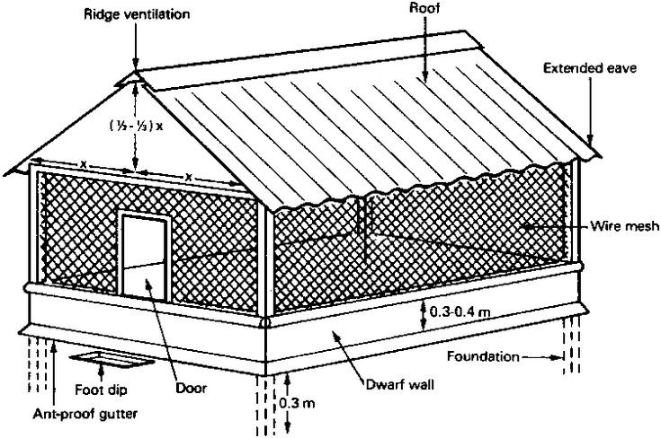 Chicken coop plan and design. #chickenfarming