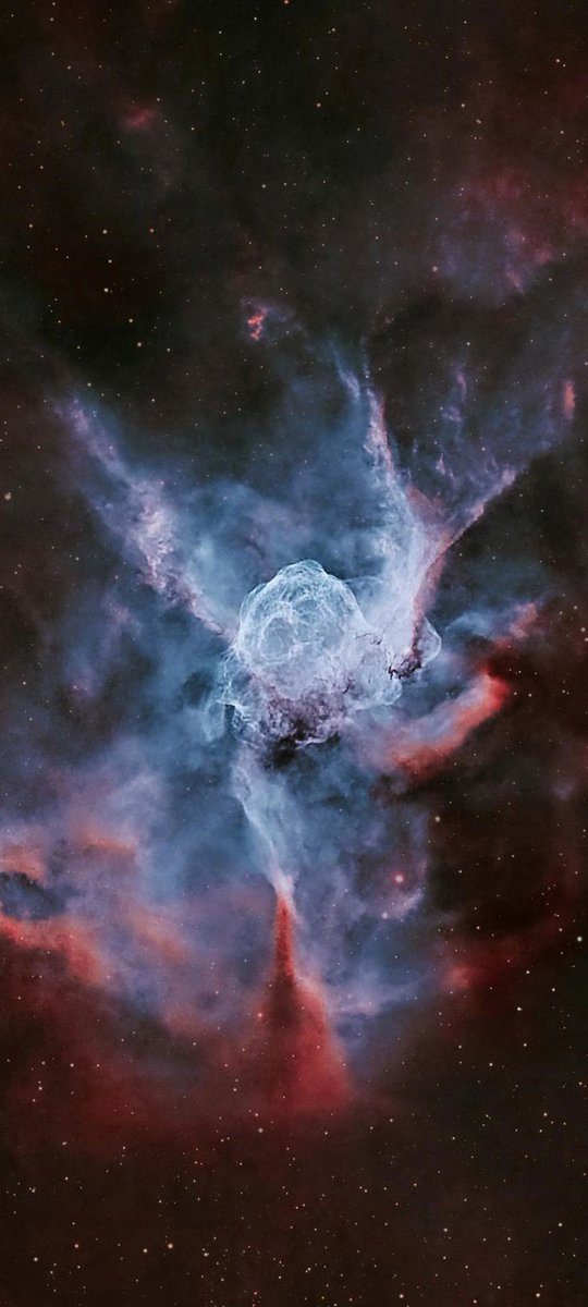 RT @maiz_julio: Sh2_308 Thor's Helmet Nebula by Jattealker croped https://t.co/YkbLegl1sW