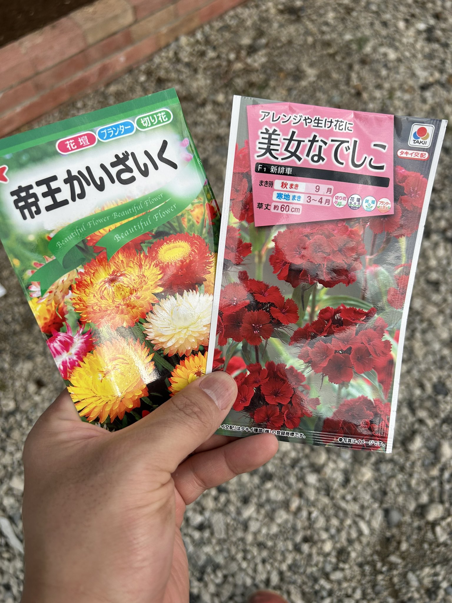 104植物 - Cerca / X