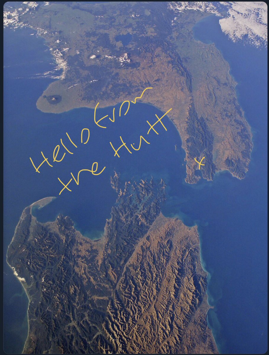 missrabbitty01's tweet image. 