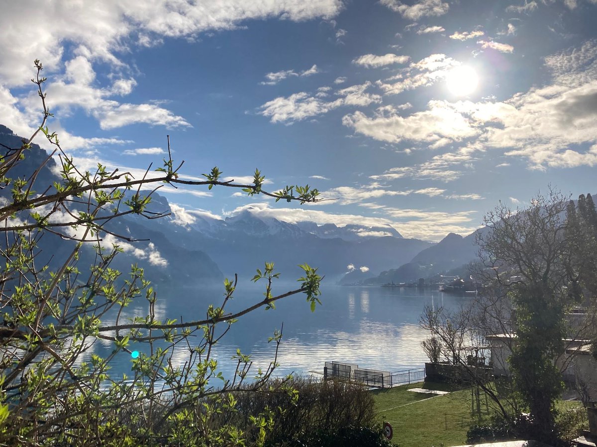 meteoschweiz's tweet image. Ein sonniger Sonntagsgruss vom #Walensee. Im Hintergrund durch den Neuschnee sichtbar gemachten #Sichelchamm.
Foto von #Mühlehorn am Walensee, Quelle: Meteomeldungen/App.
