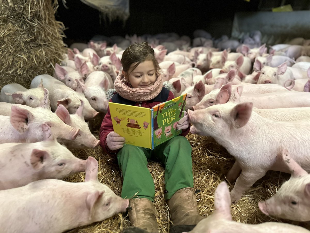 Amy Catling tweet media