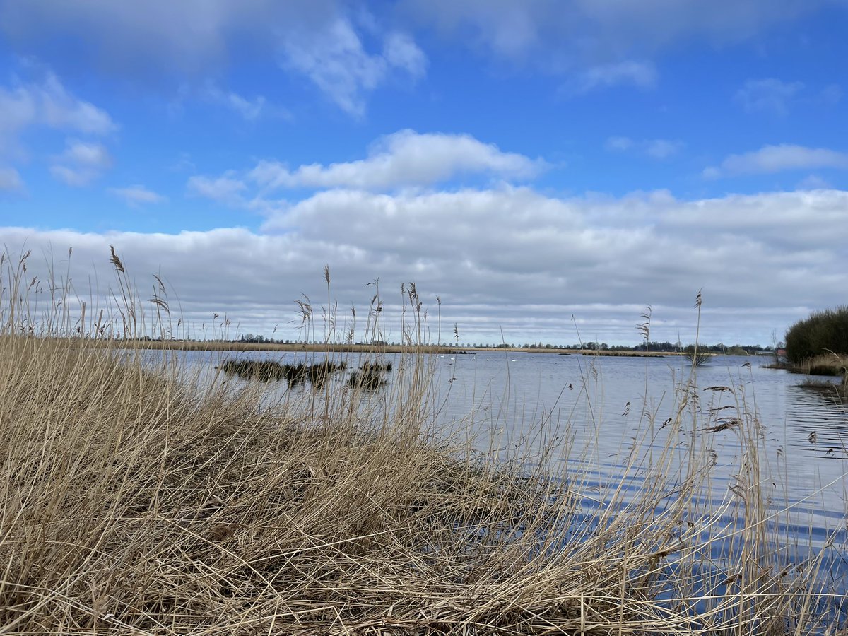 martinewoude's tweet photo. Op zoek naar de Blauwborst bij De Groene Jonker https://t.co/tIF9niJpn1