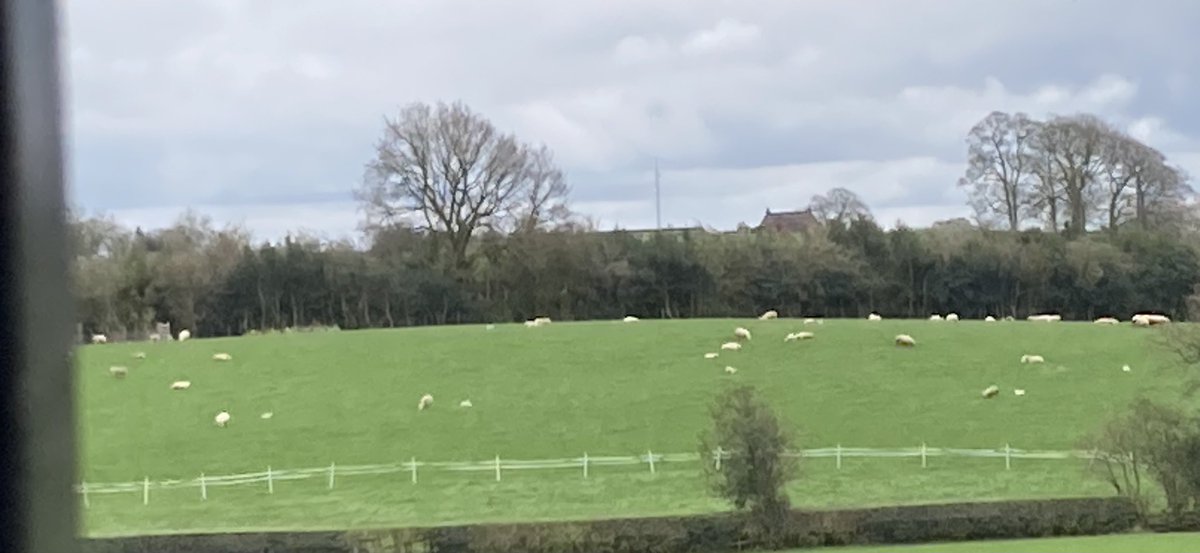 leilani dowding 🌸🚜 ☮️ on Twitter "We asked the to farmer graze his