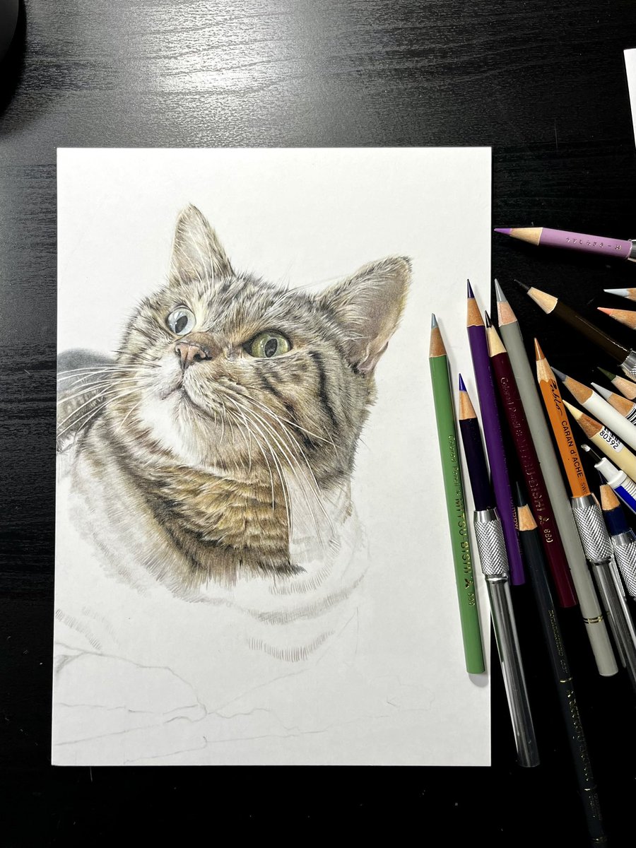 ka618zu's tweet photo. wip.
ネッコちゃん🐈 https://t.co/aZh7StX90i