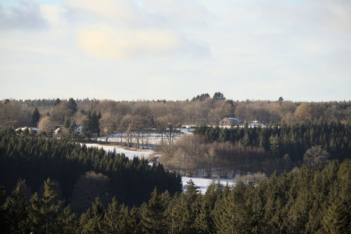 orgravenblack's tweet photo. #Winter #landscape in #hautesfagnes. There some houses hidden amongst the trees, but it still pretty secluded. 
#photo #photography #photographylovers
#nature #naturephotography #naturelovers
 #landscapephotography #landscapelovers
#winterphotography #winterlovers https://t.co/asD5CQzak1