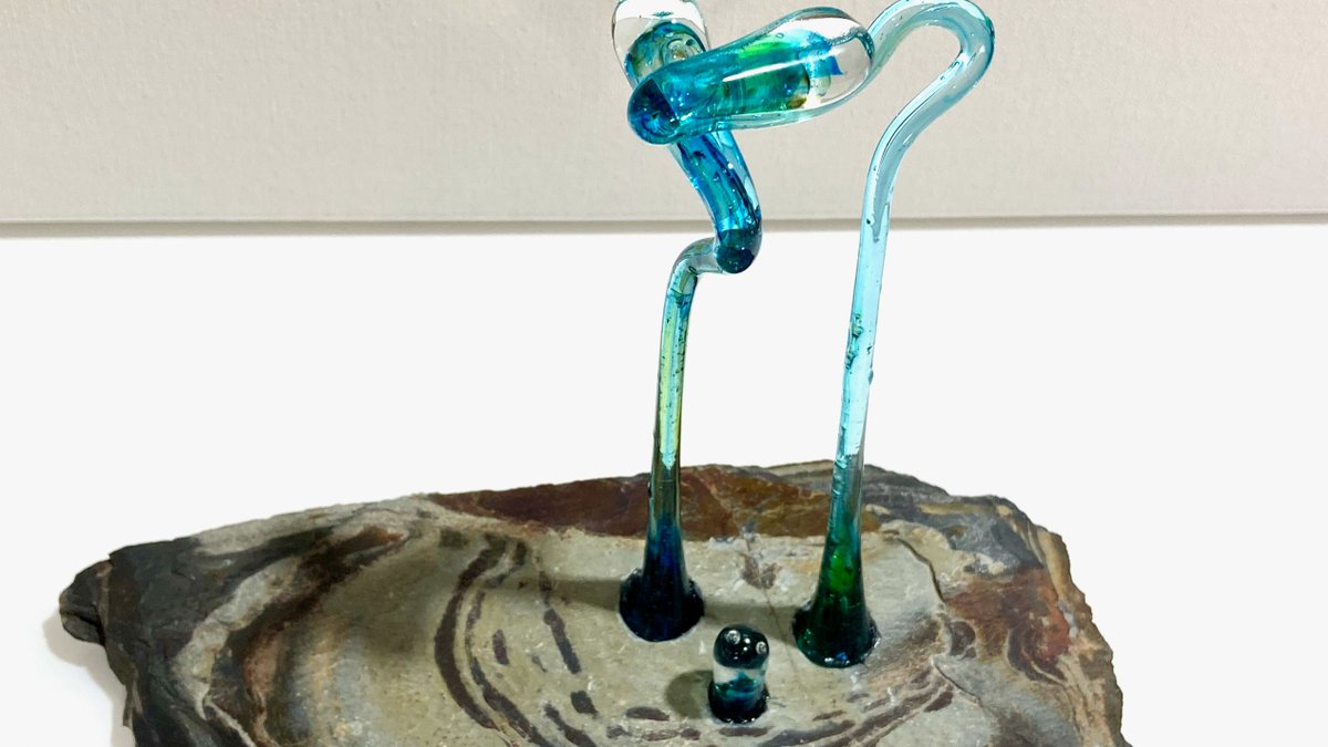 CGSUK's tweet photo. #Member #Spotlight 📢
Pamela Blackhurst
Location: Pembrokeshire, Wales
Visit: https://t.co/Yvw1E1z9OT
Want to join us? https://t.co/DeXMNSeUFC
#glass #glassart #glassartist #art #stainedglass #artist #glassstudio #interiors #glassartwork #fusedglass https://t.co/ermKZYYTHv