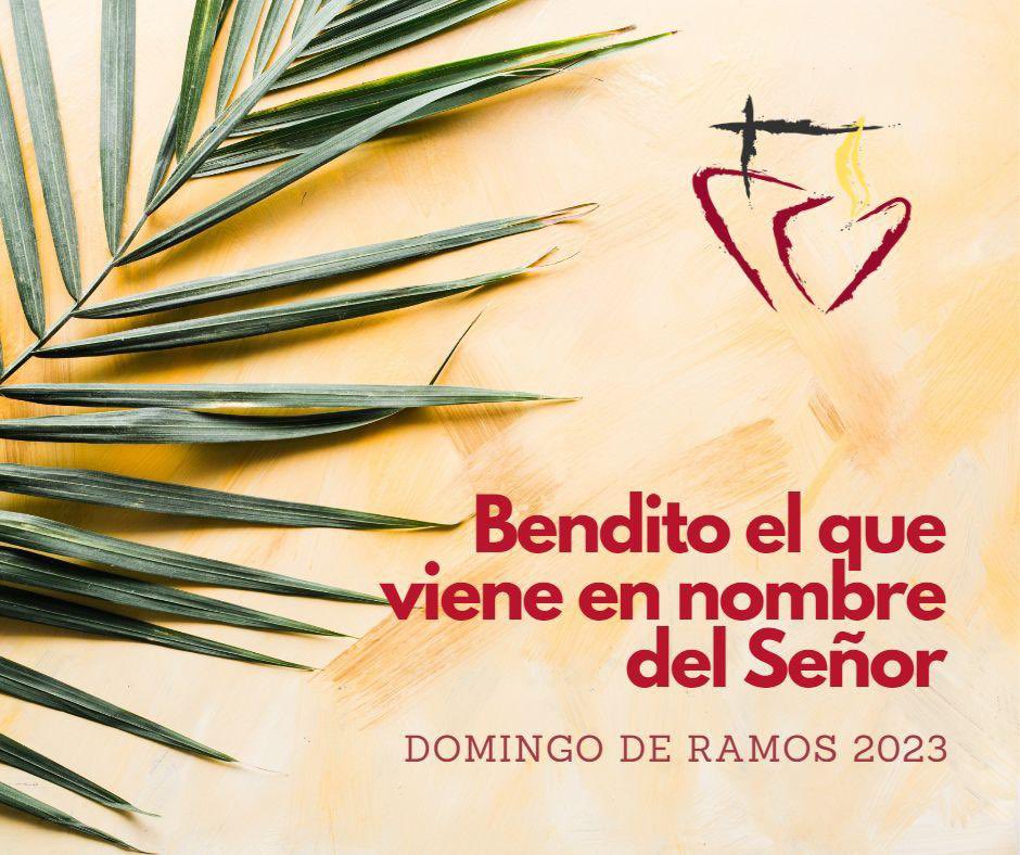 Colegio SSCC MH (@colegio_sscc) on Twitter photo 