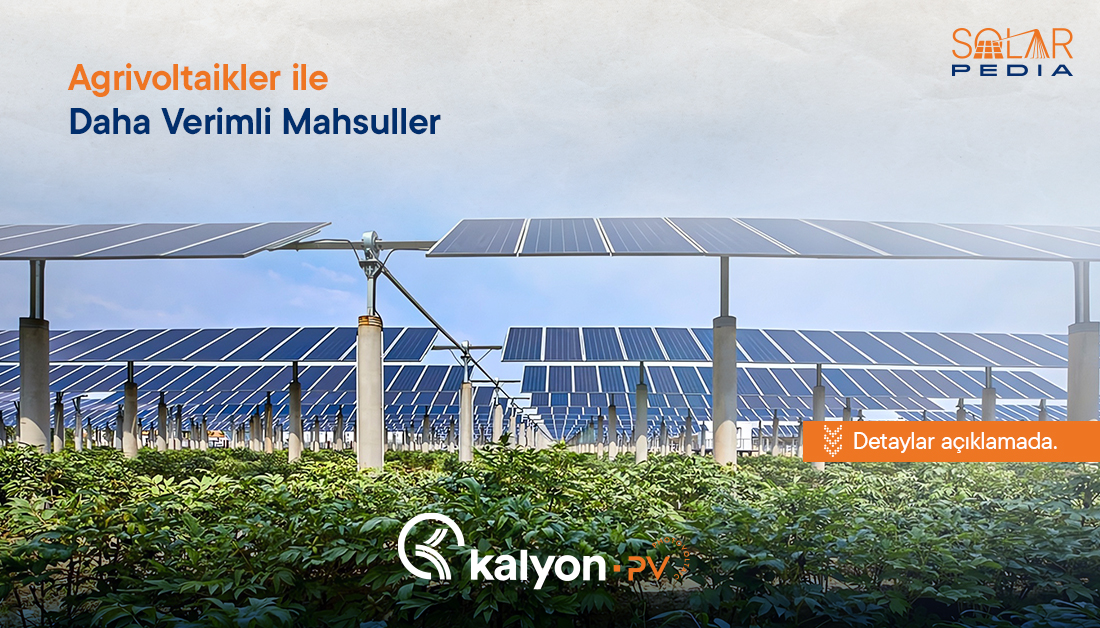 KalyonPv's tweet photo. Agrivoltaiklerin tarım alanlarına enerji sağlamasının yanı sıra kimi ürünlerdeki verimi artırdığı görülmüştür. Bu tekniğin uygulandığı alanlarda yapılan saha çalışmalarında kimi sebzelerin veriminin 3 kat daha arttığı, su tüketiminin ise %65 azaldığı görülmüştür.
#SolarPedia https://t.co/goq29Cb7SS