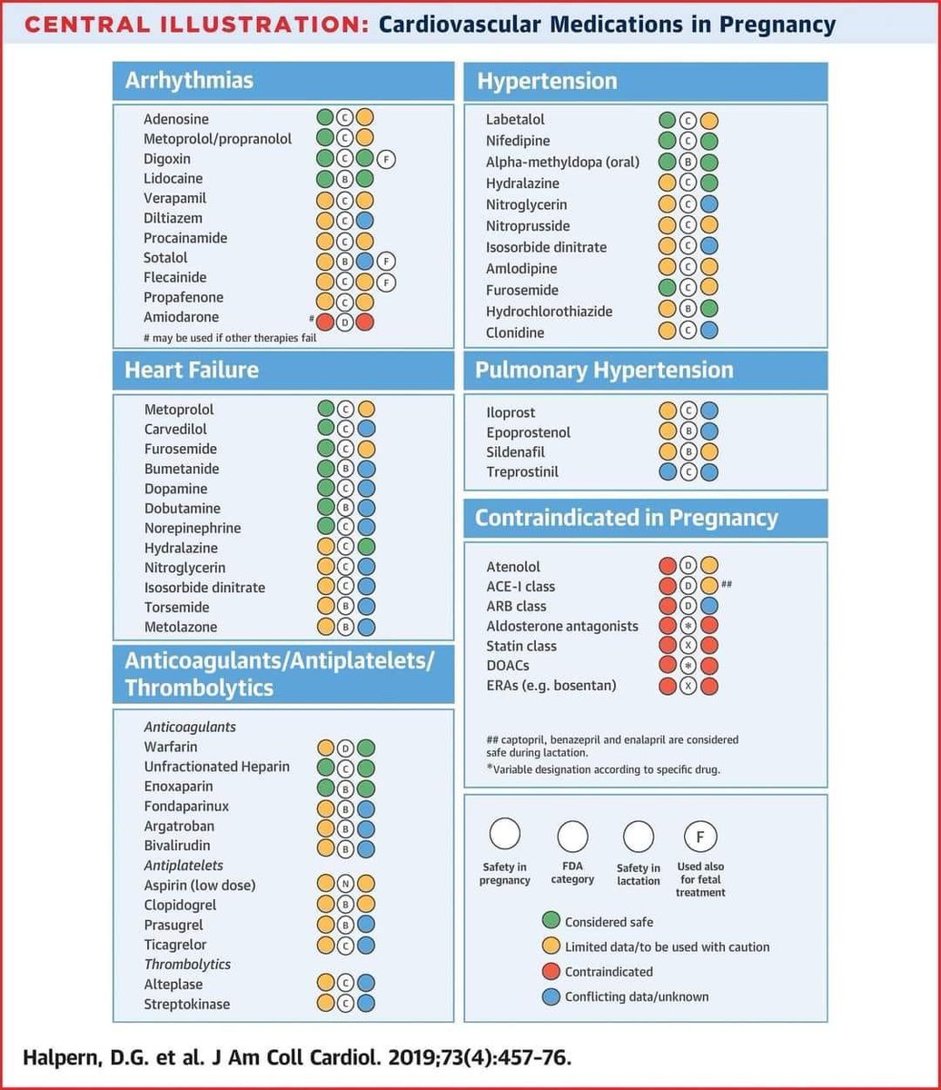 Cardiac medications and safety in pregnancy