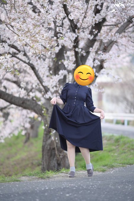 今日のハイライト手を振ると「お綺麗です！」とレスをくれる選挙カー👋新幹線と桜🌸トネガワと桜🌸ケーキさんありがとうでした！