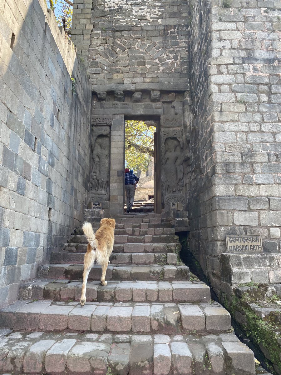 PParamanandan's tweet photo. The fort which has weathered many a siege, by man and by nature. Tremendous effort in restoring it after the devastating 1905 earthquake. Perched imperiously atop the confluence of Banganga and Majhi, Kangra fort is a treat for the eyes. ⁦@ASIGoI⁩ https://t.co/jzGmyFvOXX