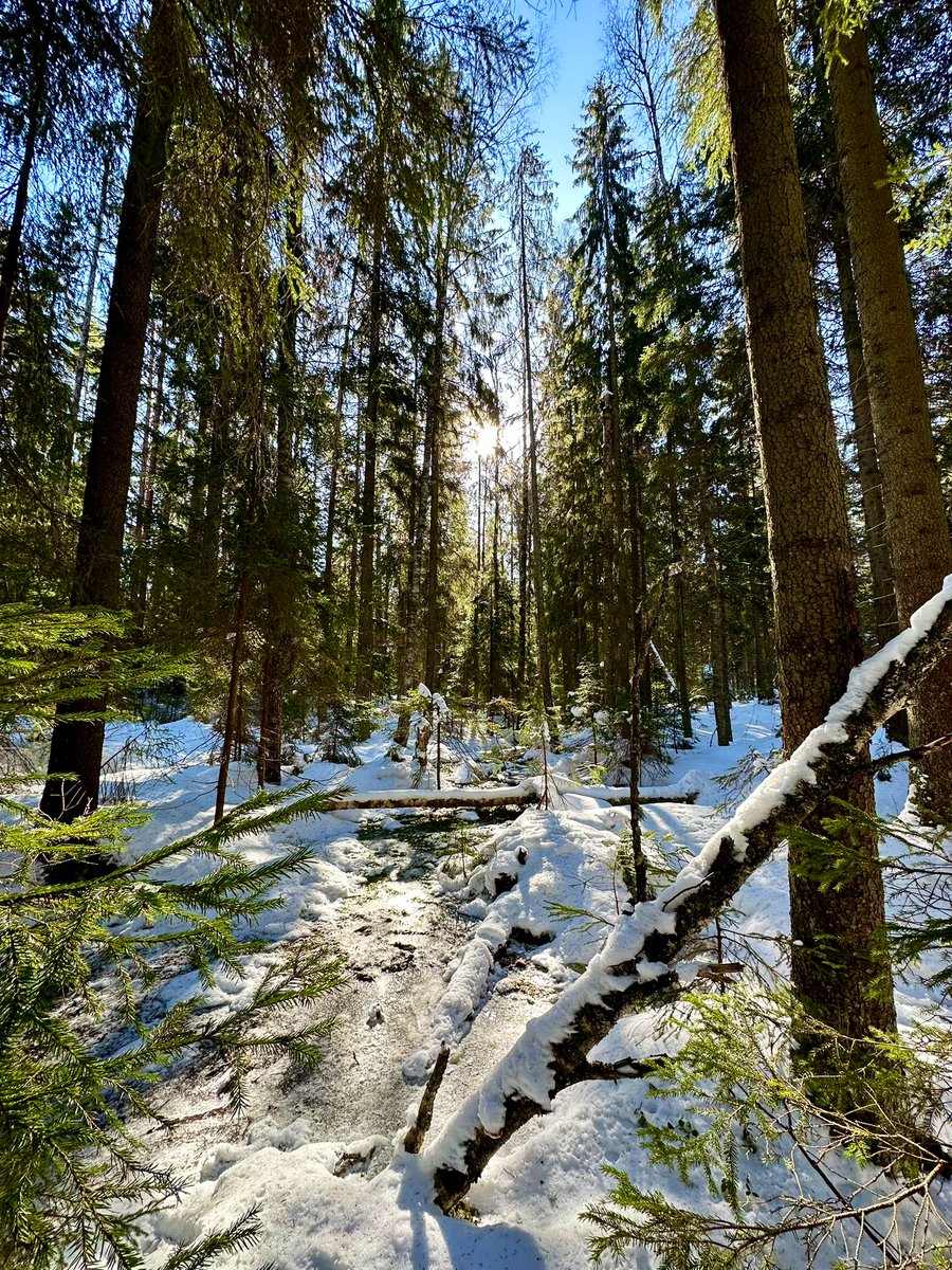 SannaJaas's tweet image. Tänään on hieno päivä☀️🇫🇮

#vaalit23 #sää