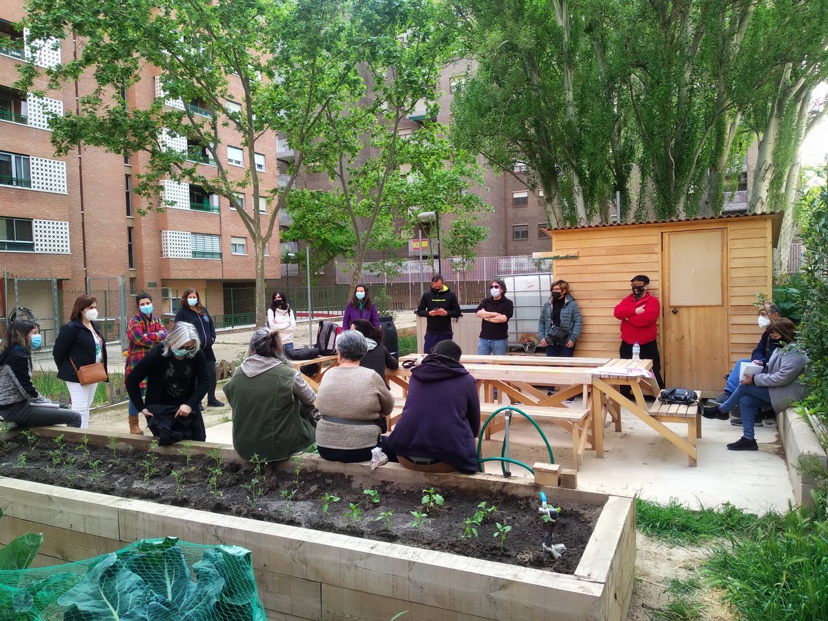 sevegodina's tweet photo. En los solares sembramos huertos y nacen vecinos y vecinas. Si los alcaldes y alcaldesas reverdean las ciudades con jardines comestibles como los huertos nacerán comunidades #FilosofiaJardineraRadio3 @ecodes @laura_ezquerra @BosqueHabitado @PilarBernado @LLSSerrano @vinuales81 https://t.co/FxSShUcWMx