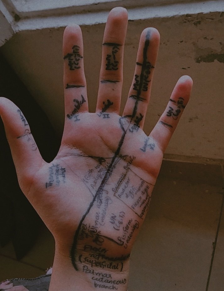 httpdotdotdott's tweet photo. Brain not braining , confusing nerves tbh https://t.co/SHmSM0DZfo