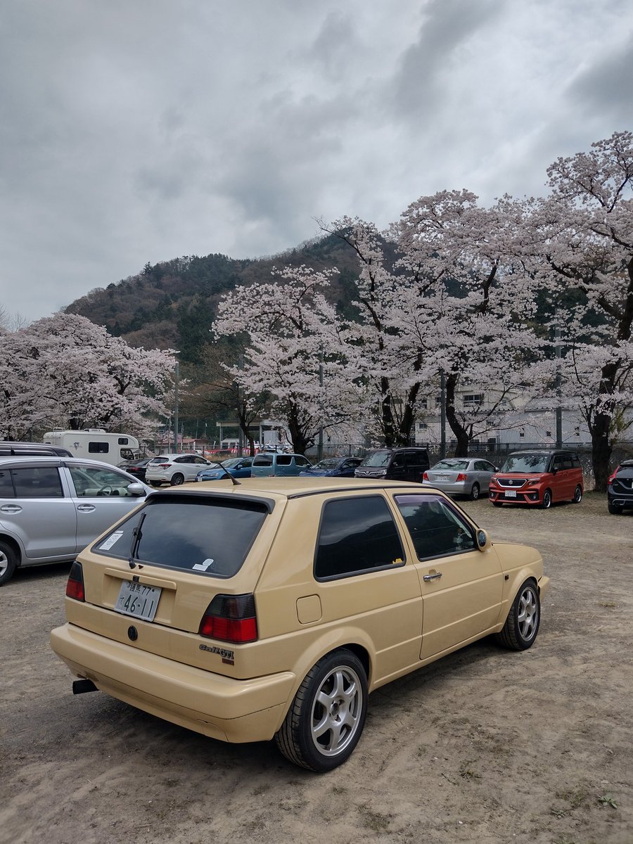 dev_stderr's tweet photo. ドライブがてら笹一酒造→談合坂SAと下道の旅
山梨は桜が満開だったね!
#vw #vwlife #vwgolf #vwgolf2gti #vwgolf2gti16v
#vwgolfmk2 #vwgolfmk2gti #vwgolfmk2gti16v
#golf2 #golf2gti #golfmk2 #golfmk2gti
#a2golf #a2golfgti #a2golfgti16v #golf2gti
#youngtimer #youngclassic #spinninggarage https://t.co/qykevlAgiF