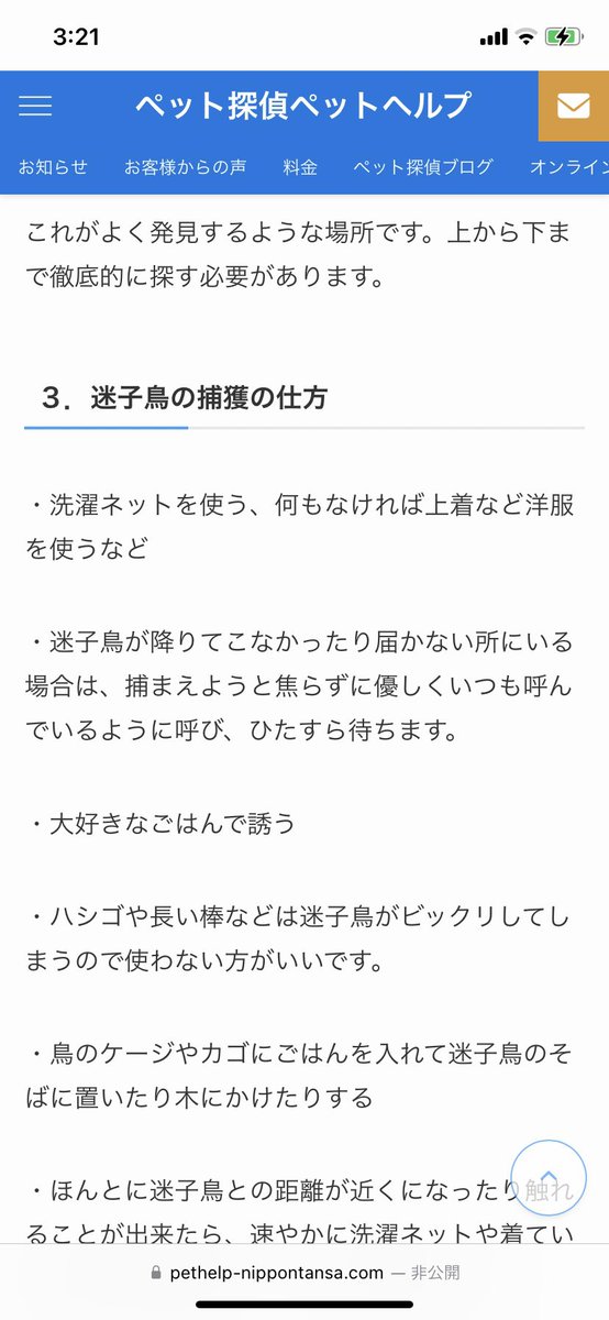 O5Lzm's tweet photo. @COCOMOM66148726 facebookの地元情報コミュニティやジモティーなど地元SNSを駆使する事をお勧めします。大声でよぶと呼び鳴きで返してくれる事があります。力のあるうちは上の方にいる事も。双眼鏡で迷子になった付近中心に探してみてください。近所で見つかる事が多いですが周辺の警察にもアンテナを。 https://t.co/svnPTulf66