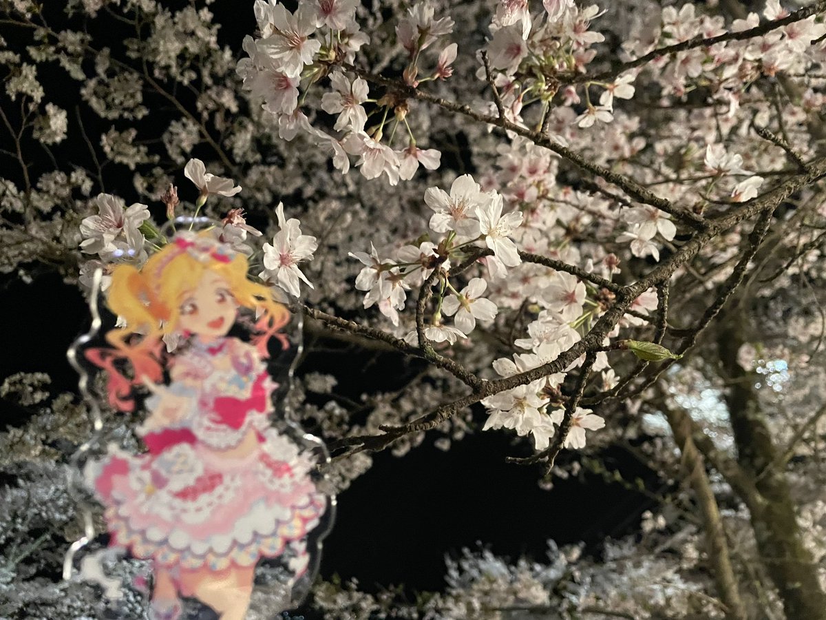 「今年も桜綺麗だった全身筋肉痛でえぐい…!!え…!明日ハナちゃんの誕生日ってまじで」|ドーナツ⇄( ᐛ👐)パァのイラスト
