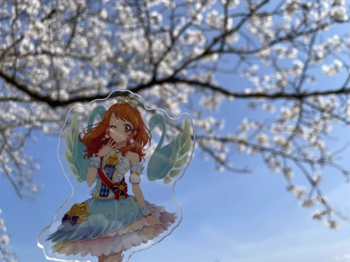 今年も桜綺麗だった全身筋肉痛でえぐい…!!え…!明日ハナちゃんの誕生日ってまじですか( ᵒ̴̶̷᷄꒳ᵒ̴̶̷᷅ ) 